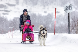 Salon.Photo Silver Medal