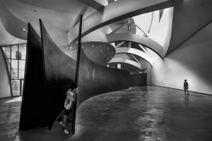 Salon.Photo Gold Medal