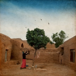 Salon.Photo Silver Medal